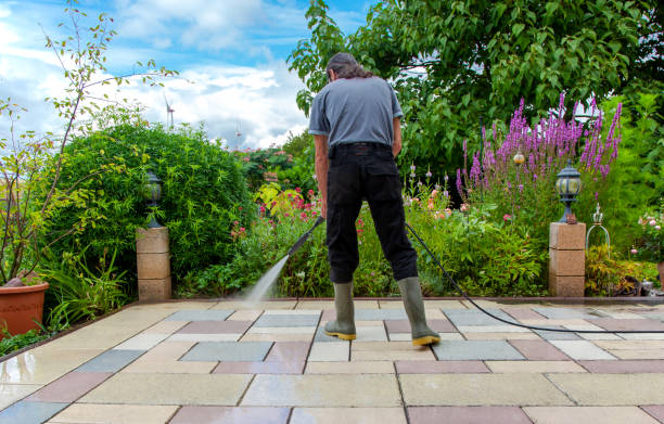 Animal Enclosure Cleaning in Sanatoga, PA